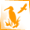 Avistamiento de aves / Birdwatching